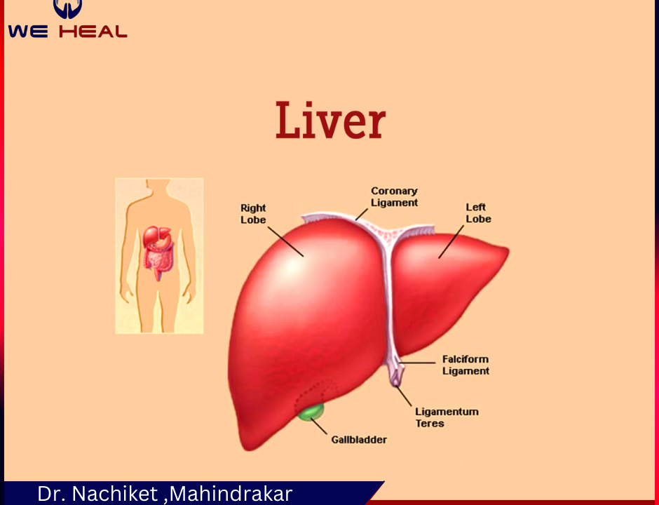 Asthma specialist in baner