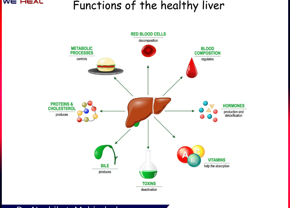 Healthy Liver