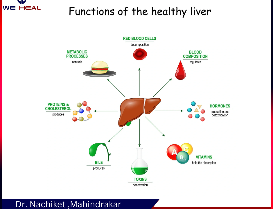 Healthy Liver